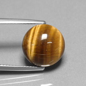 6,69 ctw natürlicher brauner Tiger's Eye, Rundschliff, Lichtundurchlässig