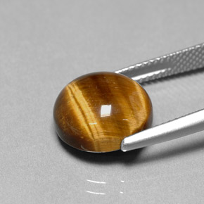 6,69 ctw natürlicher brauner Tiger's Eye, Rundschliff, Lichtundurchlässig