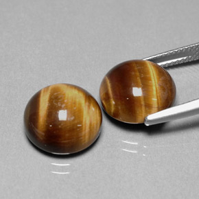  ct natürliche brauner Tiger's Eye-Edelsteine, Rundschliff, Lichtundurchlässig