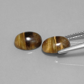  ct natürliche brauner Tiger's Eye-Edelsteine, Oval Schliff, Lichtundurchlässig