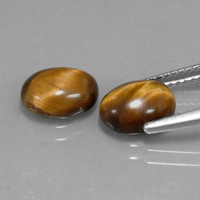 1,59 ctw natürlicher brauner Tiger's Eye, Oval Schliff, Lichtundurchlässig