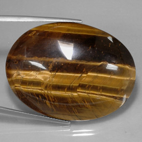 73,05 ctw natürlicher brauner Tiger's Eye, Oval Schliff, Lichtundurchlässig