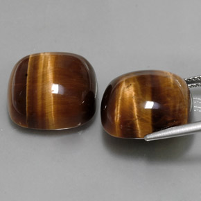  ct natürliche brauner Tiger's Eye-Edelsteine, Kissenschliff, Lichtundurchlässig