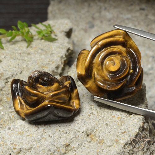 25.04ctw Natürlicher Braun Tigerauge, Blumen-Schliff, Lichtundurchlässig