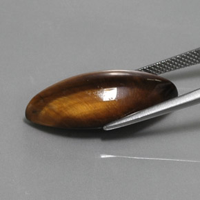 9,17 ctw natürlicher gold-braun Tigerauge, Marquise, Lichtundurchlässig