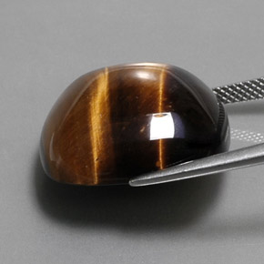 9,17 ctw natürlicher gold-braun Tigerauge, Kissenschliff, Lichtundurchlässig