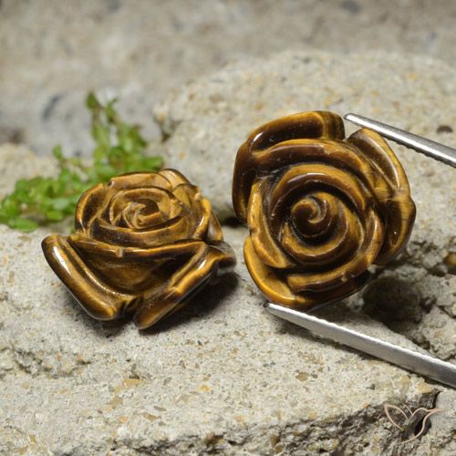 23.62ctw Natürlicher Lebkuchen braun Tigerauge, Blumen-Schliff, Lichtundurchlässig