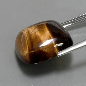 9,17 ctw natürlicher gold-braun Tigerauge, Kissenschliff, Lichtundurchlässig