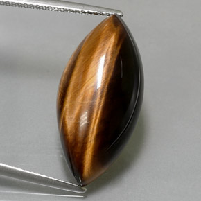 12,99 ctw natürlicher brauner Tiger's Eye, Marquise, Lichtundurchlässig