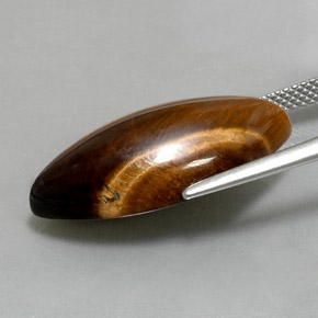 12,99 ctw natürlicher brauner Tiger's Eye, Marquise, Lichtundurchlässig