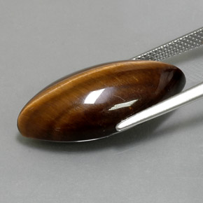 12,55 ctw natürlicher brauner Tiger's Eye, Marquise, Lichtundurchlässig
