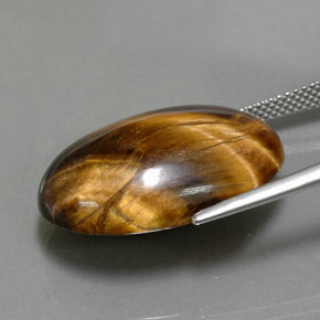 23,72 ctw natürlicher brauner Tiger's Eye, Oval Schliff, Lichtundurchlässig