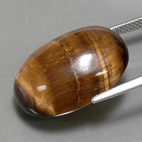 24,80 ctw natürlicher brauner Tiger's Eye, Oval Schliff, Lichtundurchlässig