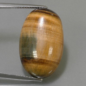 19,16 ctw natürlicher brauner Tiger's Eye, Oval Schliff, Lichtundurchlässig