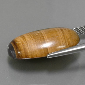 19,16 ctw natürlicher brauner Tiger's Eye, Oval Schliff, Lichtundurchlässig