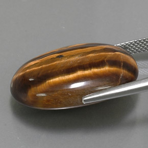 25,04 ctw natürlicher brauner Tiger's Eye, Oval Schliff, Lichtundurchlässig