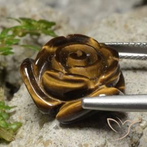 9,17 ctw natürlicher Warmes Braun Tigerauge, Blumen-Schliff, Lichtundurchlässig