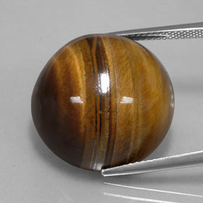35,03 ctw natürlicher brauner Tiger's Eye, Rundschliff, Lichtundurchlässig