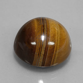 35,03 ctw natürlicher brauner Tiger's Eye, Rundschliff, Lichtundurchlässig