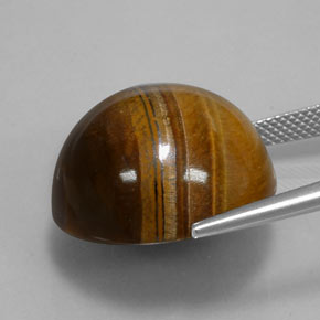 35,03 ctw natürlicher brauner Tiger's Eye, Rundschliff, Lichtundurchlässig