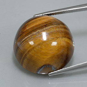 36,26 ctw natürlicher brauner Tiger's Eye, Rundschliff, Lichtundurchlässig