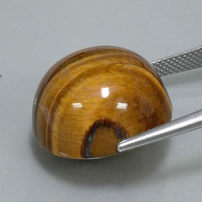 36,26 ctw natürlicher brauner Tiger's Eye, Rundschliff, Lichtundurchlässig