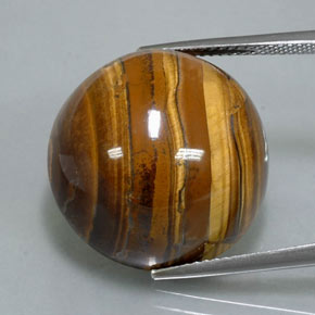 38,37 ctw natürlicher brauner Tiger's Eye, Rundschliff, Lichtundurchlässig