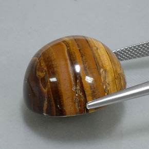 38,37 ctw natürlicher brauner Tiger's Eye, Rundschliff, Lichtundurchlässig