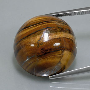 39,32 ctw natürlicher brauner Tiger's Eye, Rundschliff, Lichtundurchlässig