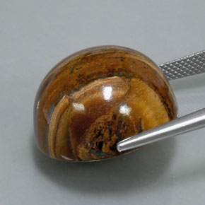 39,32 ctw natürlicher brauner Tiger's Eye, Rundschliff, Lichtundurchlässig