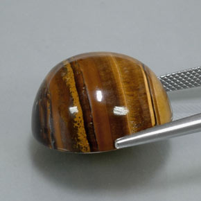 37,12 ctw natürlicher brauner Tiger's Eye, Rundschliff, Lichtundurchlässig