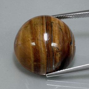 36,50 ctw natürlicher brauner Tiger's Eye, Rundschliff, Lichtundurchlässig