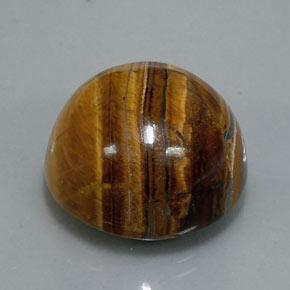 36,50 ctw natürlicher brauner Tiger's Eye, Rundschliff, Lichtundurchlässig