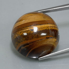37,72 ctw natürlicher brauner Tiger's Eye, Rundschliff, Lichtundurchlässig