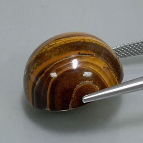 37,72 ctw natürlicher brauner Tiger's Eye, Rundschliff, Lichtundurchlässig