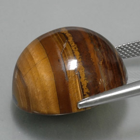 36,89 ctw natürlicher brauner Tiger's Eye, Rundschliff, Lichtundurchlässig