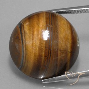 9,17 ctw natürlicher Warmes Braun Tigerauge, Rund Schliff, Lichtundurchlässig