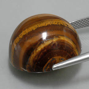 36,33 ctw natürlicher brauner Tiger's Eye, Rundschliff, Lichtundurchlässig