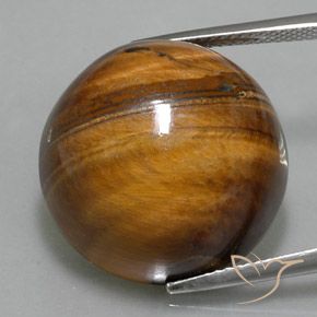 36.10ct Natürlicher Lebkuchen braun Tigerauge, Runden, Lichtundurchlässig
