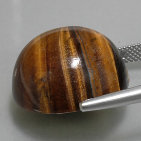 36,96 ctw natürlicher brauner Tiger's Eye, Rundschliff, Lichtundurchlässig