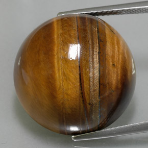 36,05 ctw natürlicher brauner Tiger's Eye, Rundschliff, Lichtundurchlässig