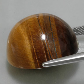 36,05 ctw natürlicher brauner Tiger's Eye, Rundschliff, Lichtundurchlässig