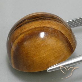 9,17 ctw natürlicher Mittel braun Tigerauge, Runden, Lichtundurchlässig