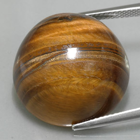 37,11 ctw natürlicher brauner Tiger's Eye, Rundschliff, Lichtundurchlässig