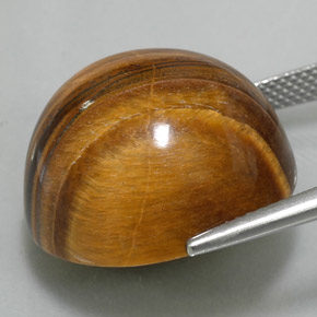 37,11 ctw natürlicher brauner Tiger's Eye, Rundschliff, Lichtundurchlässig