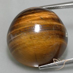 35.20ct Natürlicher Mittel braun Tigerauge, Runden, Lichtundurchlässig