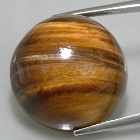 9,17 ctw natürlicher gold-braun Tigerauge, Rund Schliff, Lichtundurchlässig