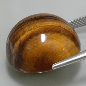 9,17 ctw natürlicher gold-braun Tigerauge, Rund Schliff, Lichtundurchlässig