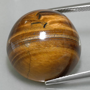 37,40 ctw natürlicher brauner Tiger's Eye, Rundschliff, Lichtundurchlässig