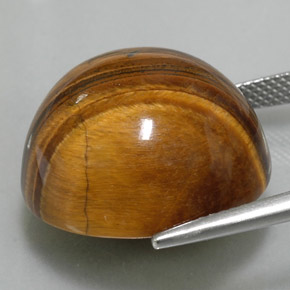 37,40 ctw natürlicher brauner Tiger's Eye, Rundschliff, Lichtundurchlässig